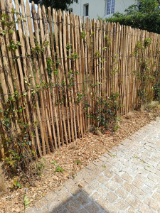 Photo de galerie - Paysagiste - Aménagement du jardin