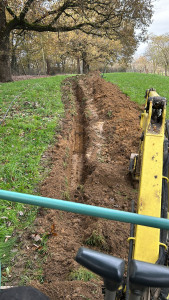 Photo de galerie - Paysagiste - Aménagement du jardin