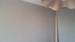 Photo de galerie - Plâtrerie - Murs - Plafonds