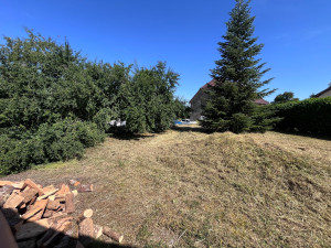 Photo de galerie - Debrousaillage après 