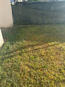 Photo de galerie - Premier tonte 