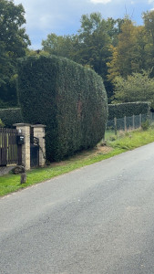 Photo de galerie - Après 