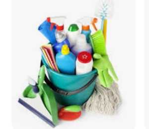 Photo de galerie - Je fait tous le sol, la poussière l'aspirateur.......