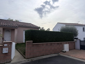 Photo de galerie - Taille de haie