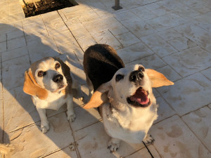 Photo de galerie - Vacanciers heureux !