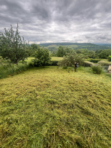 Photo de galerie - Tonte de pelouse - Débroussaillage