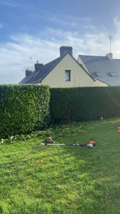 Photo de galerie - Taille de haie