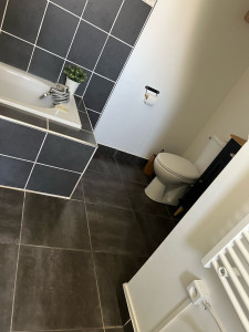 Photo de galerie - Toilette baignoire 