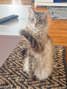 Photo de galerie - Olia la princesse 