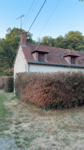 Photo de galerie - Rabattage d’une haie 