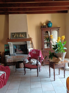 Photo de galerie - Même les fleurs ont besoin d être entourées d 'ordre et de propreté.