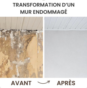 Photo de galerie - Transformation d’un mur endommagé