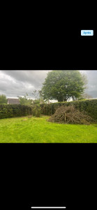 Photo de galerie - APRÈS / coupe et tronçonnage d’un cerisier avec évacuation 