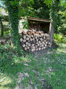 Photo de galerie - Tronçonneuse
