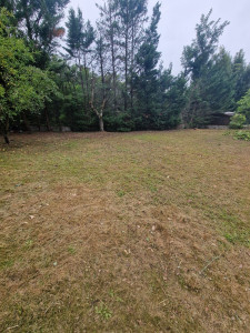 Photo de galerie - Paysagiste - Aménagement du jardin