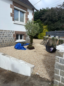 Photo de galerie - Planter 
