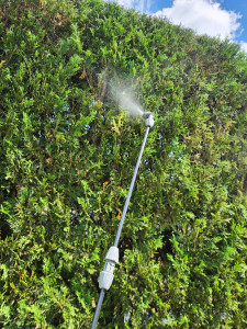 Photo de galerie - Jardinier