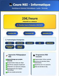 Photo de galerie - Cours NSI lycée