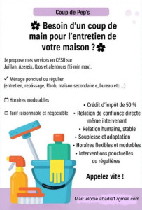 Photo de galerie - Prestataire entretien ménage chez les particuliers 