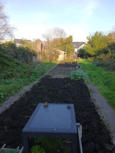 Photo de galerie - Préparation du jardin 