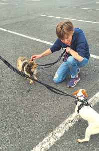 Photo de galerie - Sociabilisation d'une petite chienne craintive : tout va bien !! :) 