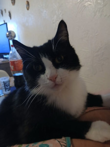 Photo de galerie - Felix