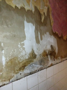 Photo de galerie - Avant