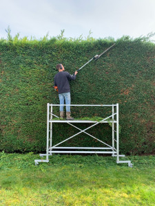 Photo de galerie - Taille de haies et d'arbustes