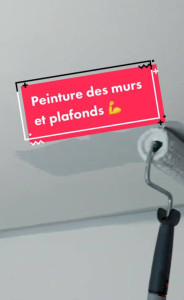 Photo de galerie - Peinture des murs et plafonds 