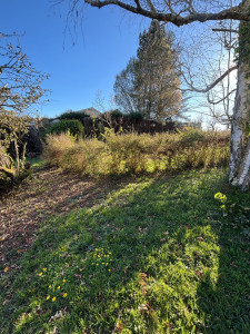 Photo de galerie - Jardinier