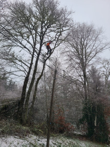 Photo de galerie - Mise en sécurité de la ligne électrique sous la neige