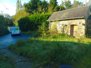 Photo de galerie - Tomte de pelouse-débroussaillage-couper les bordures.