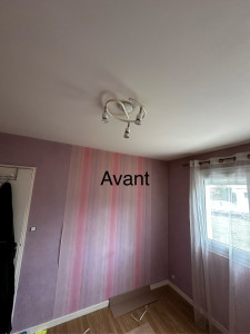 Photo de galerie - Avant  le travaux 