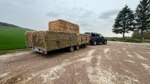 Photo de galerie - Paille / foin