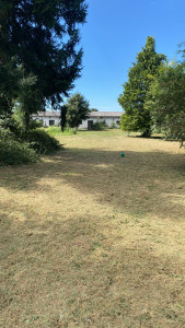 Photo de galerie - Entretien espace vert