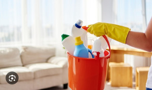 Photo de galerie - Entretien nickel de votre interieur