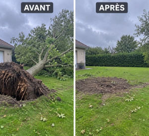 Photo de galerie - Enlèvement, causé par la tempête