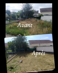 Photo de galerie - . 