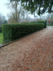 Photo de galerie - Après 