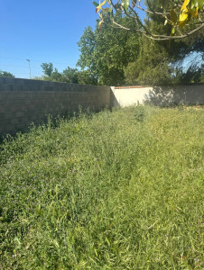 Photo de galerie - Jardinier