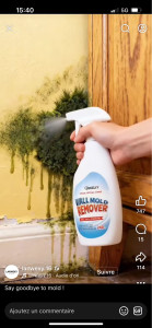 Photo de galerie - Anti moisissure 