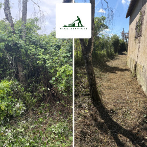 Photo de galerie - Débroussaillage dans terrain à l’abandon depuis plusieurs années