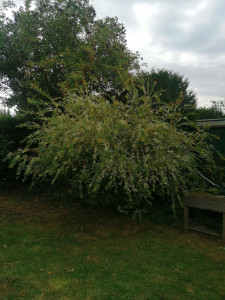 Photo de galerie - Avant 