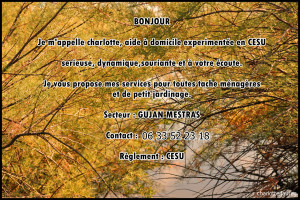 Photo de galerie - Mon activité proffessionelle