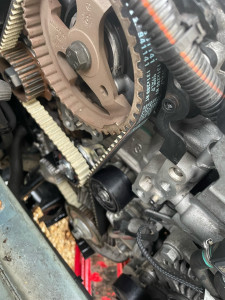 Photo de galerie - Remplacement de la courroie, distribution Peugeot, 308, 1l5 Blue HDI