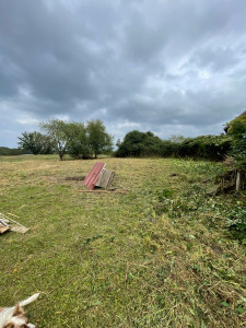 Photo de galerie - Tonte de pelouse - Débroussaillage