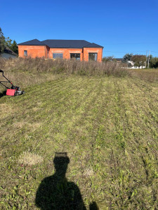 Photo de galerie - Tonte de pelouse - Débroussaillage