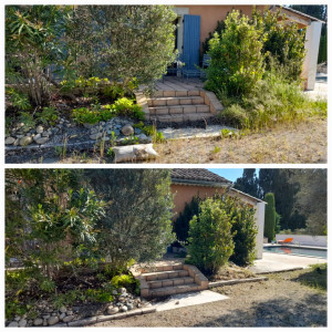 Photo de galerie - Débroussaillage