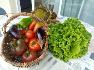 Photo de galerie - Cuisine et potager 