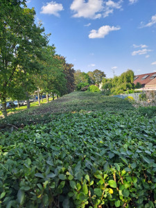 Photo de galerie - Jardinier